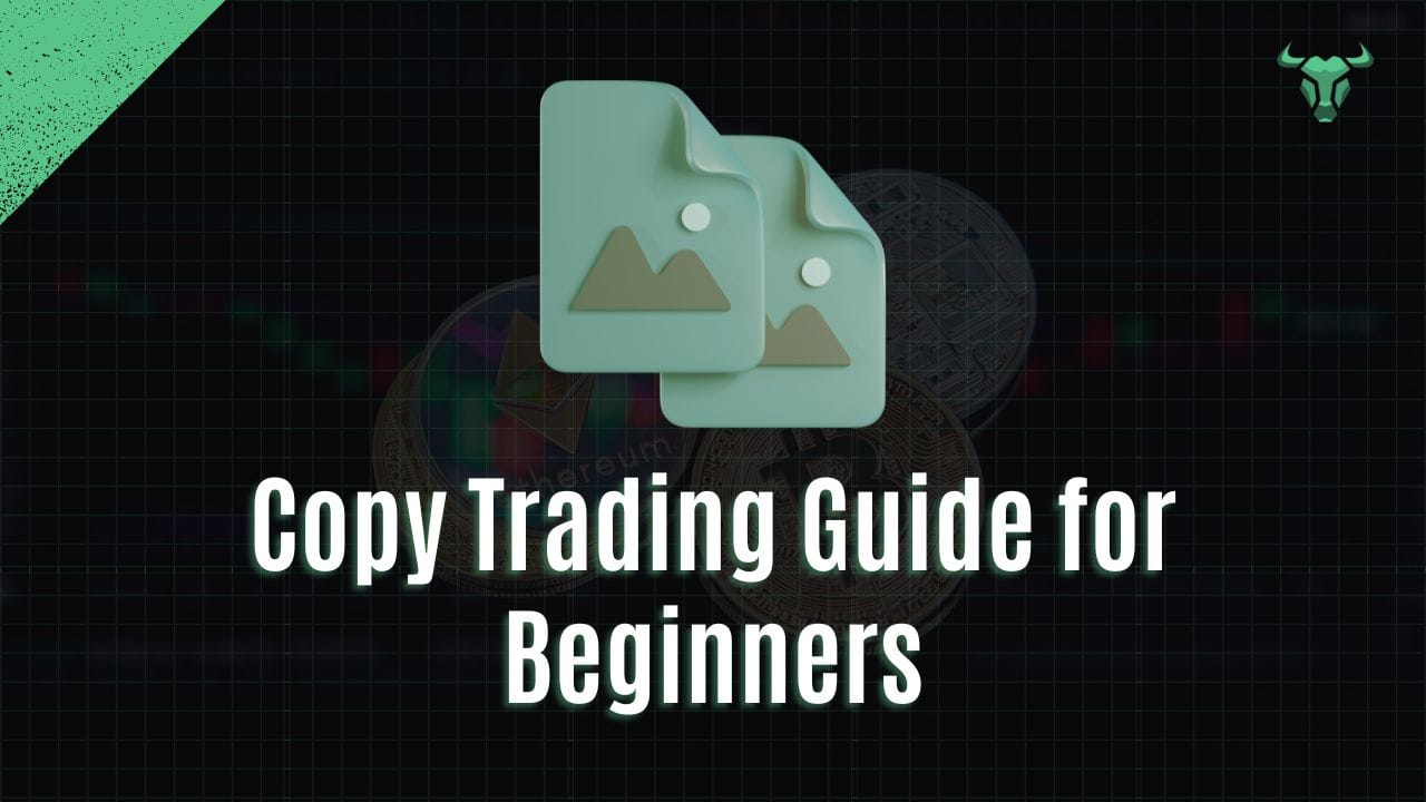 Copy Trading Guide for Beginners