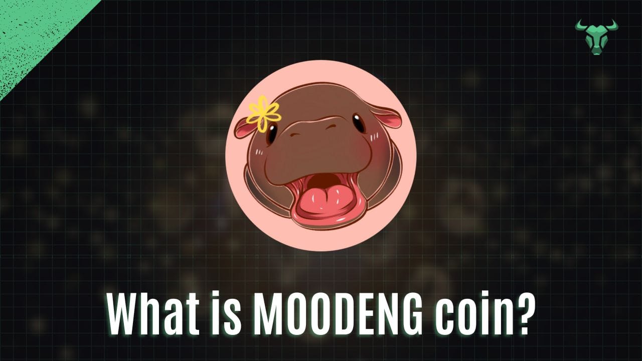 graphic for article What is MOODENG coin?