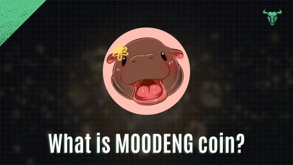 graphic for article What is MOODENG coin?